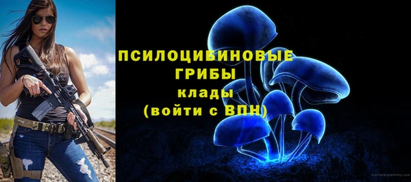 ECSTASY Алексин