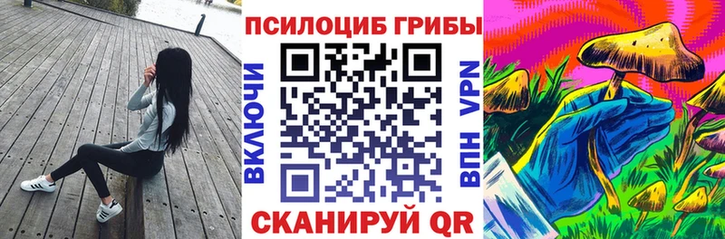 магазин продажи наркотиков  Калтан  Псилоцибиновые грибы ЛСД 